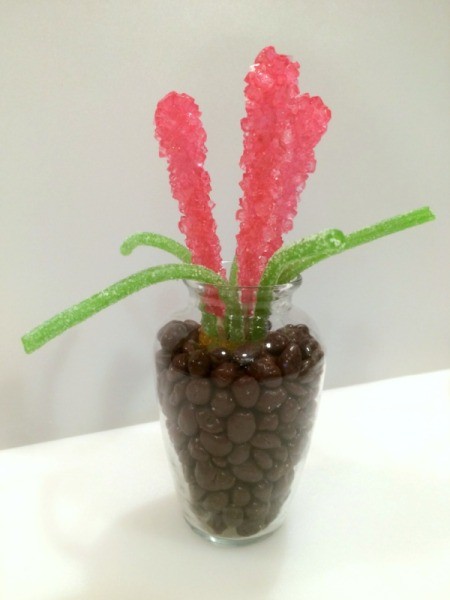 Rock Candy Flower Bouquet