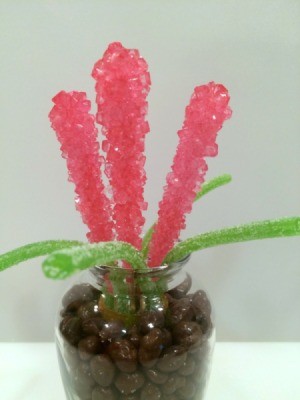Rock Candy Flower Bouquet