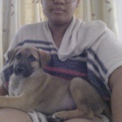 person holding dog in lap