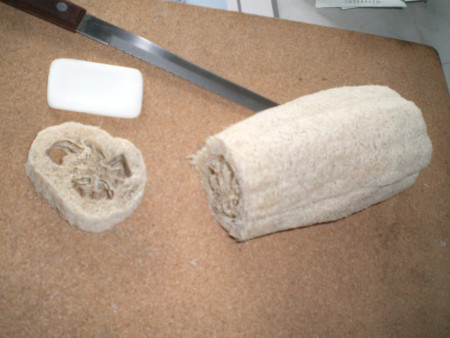 cut luffa sponge and bar of soap