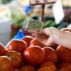 Buying tomatoes with cash.