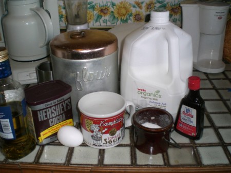 Five Minute Chocolate Mug Cake