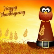 Sending Thanksgiving E-cards