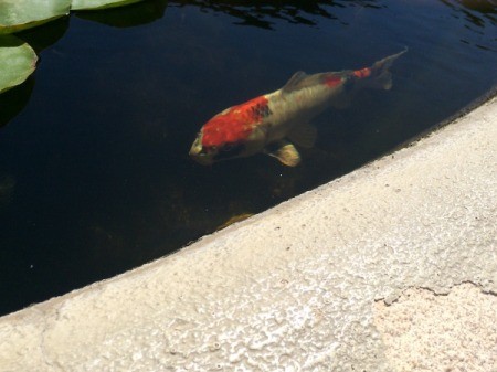 Visiting the San Juan Capistrano Mission
