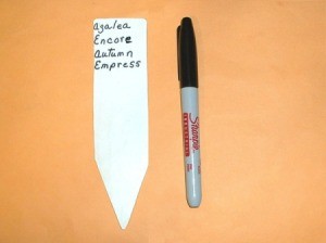 vinyl plant marker and Sharpie pen