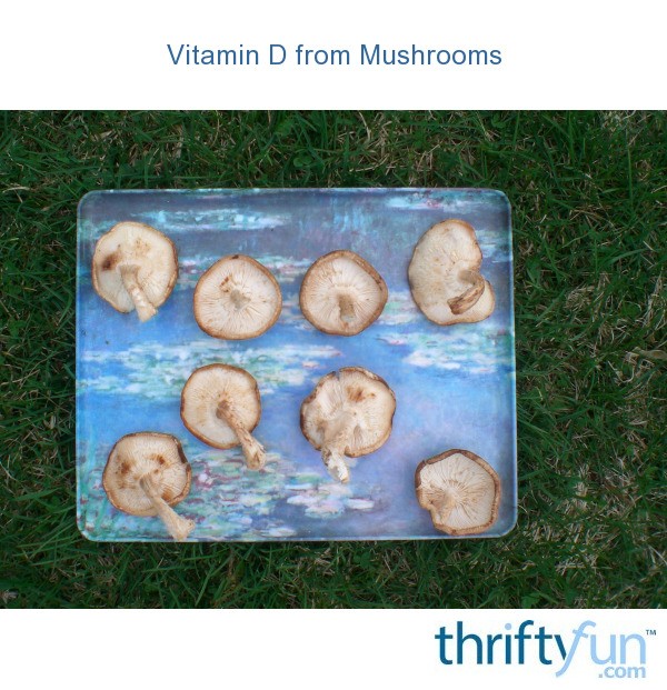 Vitamin D from Mushrooms ThriftyFun