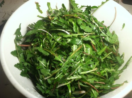 Dandelion Greens and Pomegranate Vinaigrette
