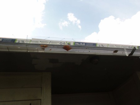 A clear shield for a roof rain gutter.