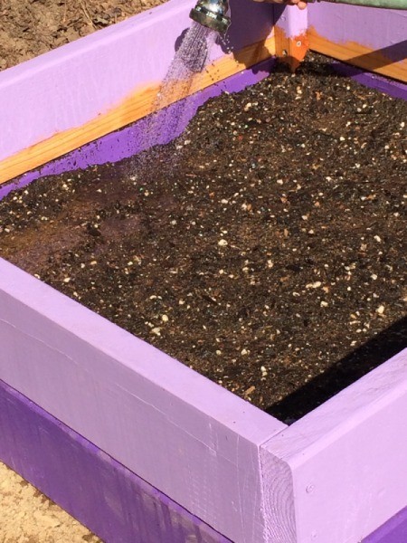 Stackable Potato Tower