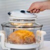 Galloping Gourmet Convection Oven Tips and Tricks