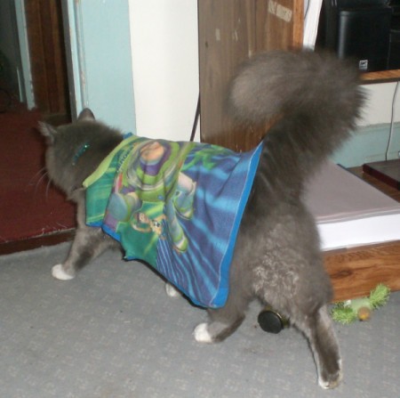 Make Capes from Favorite T-Shirts