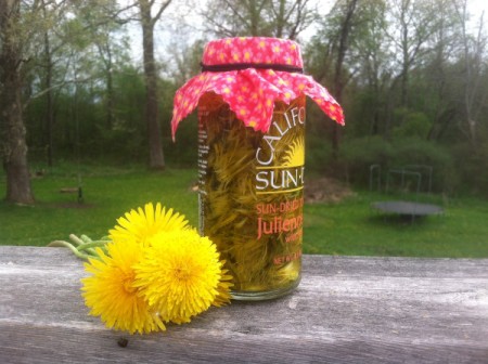 Dandelion Oil for Joint Pain