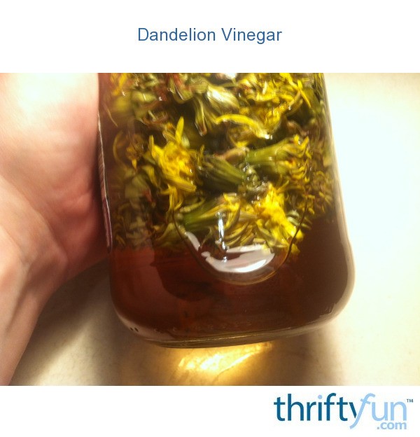 Dandelion Vinegar ThriftyFun