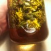 Dandelion Vinegar in jar
