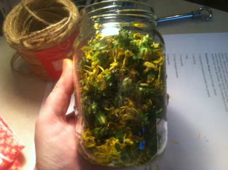 dandelion flowers in jar