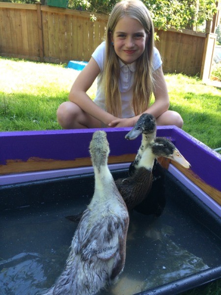 Runner Ducks Weeks 4 and 5