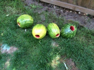 Watermelon Dry Ice Explosion