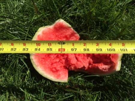 Watermelon Dry Ice Explosion