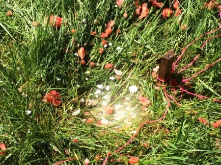 Watermelon Dry Ice Explosion