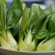 Three bunches of bok choy.