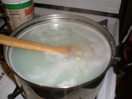 Homemade Liquid Hand Soap