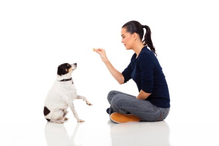 woman sitting down and training a dog