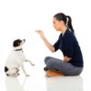 woman sitting down and training a dog