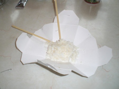 open container with rice and chop sticks