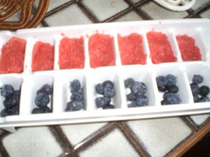 Add Fruit to Ice Cubes