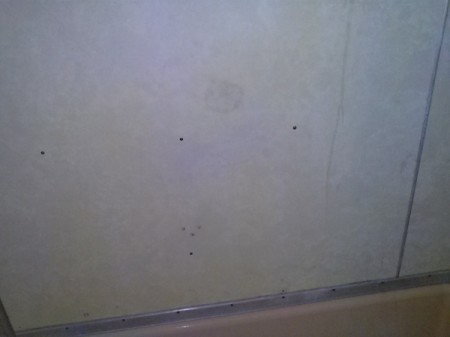 Painting Formica Shower Walls