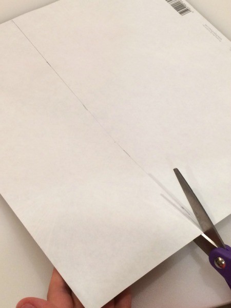 Toilet Paper Tube Confetti Launcher