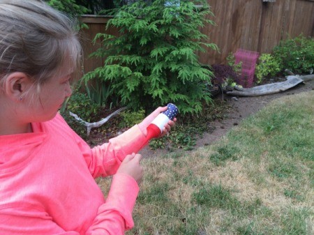 Toilet Paper Tube Confetti Launcher