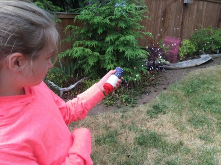 Toilet Paper Tube Confetti Launcher