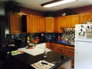 Kitchen Cabinet Color Advice 3