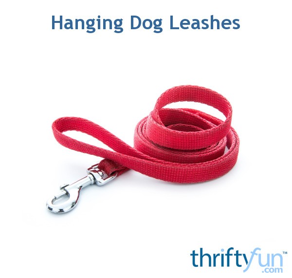 Hanging Dog Leashes ThriftyFun