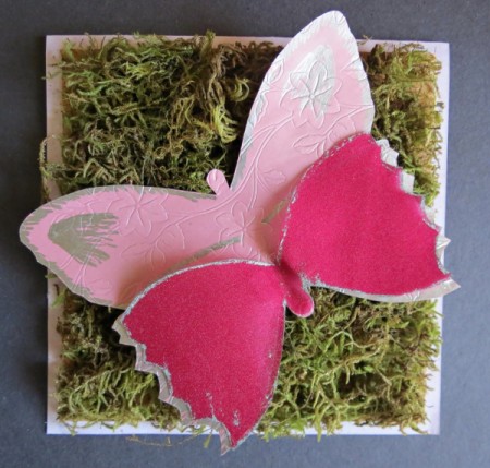 Forest Butterfly Birthday Card