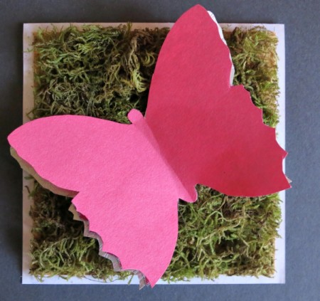 Forest Butterfly Birthday Card