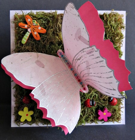 Forest Butterfly Birthday Card