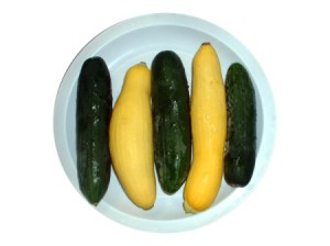 plate with yellow squash and cucumbers