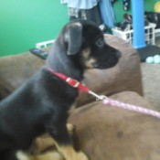 first photo