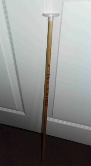 Recycled Backscratcher