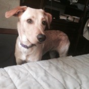 closeup of head and shoulders