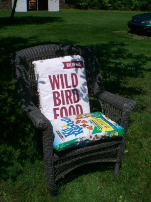 outdoor chair with pillows covered with bird seed and dog food bags