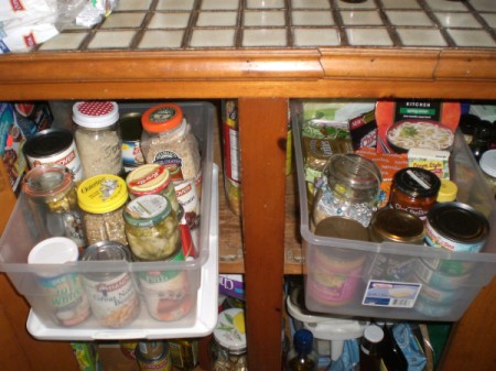 food in clear plastic bins