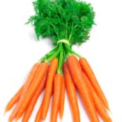 carrot with tops