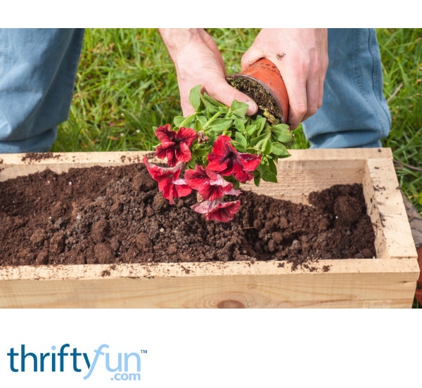 Feeding Soil in NonGrowing Seasons ThriftyFun
