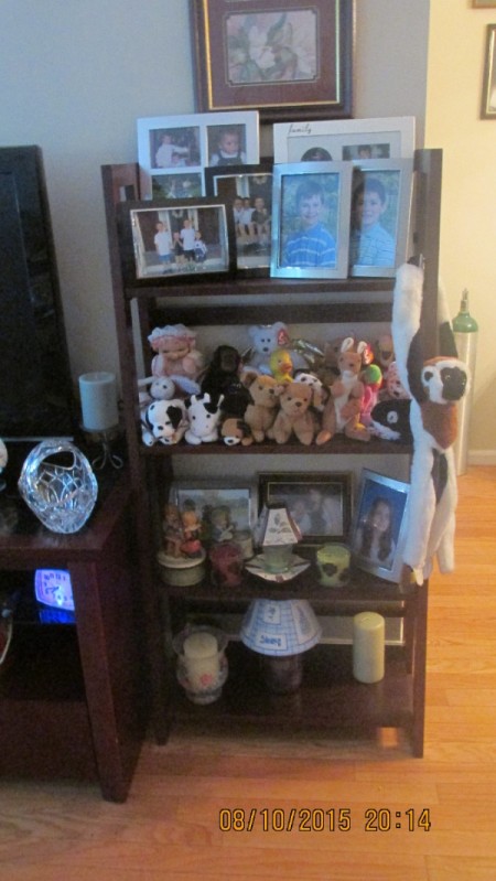 A shelf with stuffed animals and other collectibles.