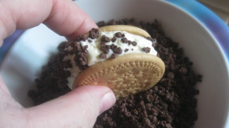 Ice Cream Sandwiches - chocolate on cookie sandwich