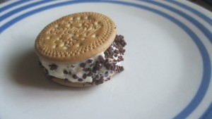 Ice Cream Sandwiches - chocolate on cookie sandwich