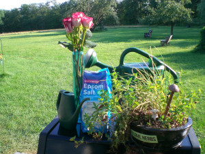 Epsom salts with herbs and roses